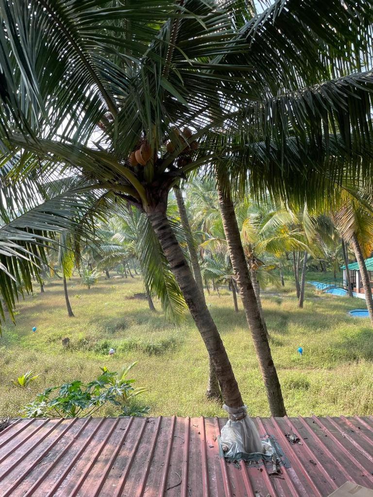 Joets Guesthouse 波戈马洛 外观 照片